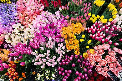 《风暴英雄》大型补丁上线正式服 全英雄平衡错误修复